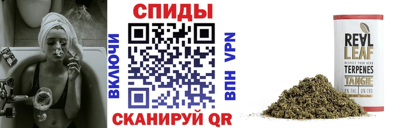 цена Бабушкин БУТИРАТ BDO 33%
